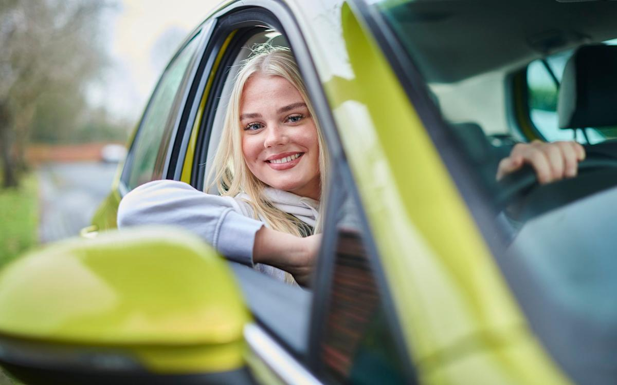 Tips for Safe Driving With Pets In The Car